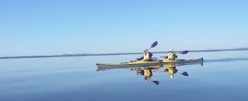 Noosa Everglades Kayak Adventure